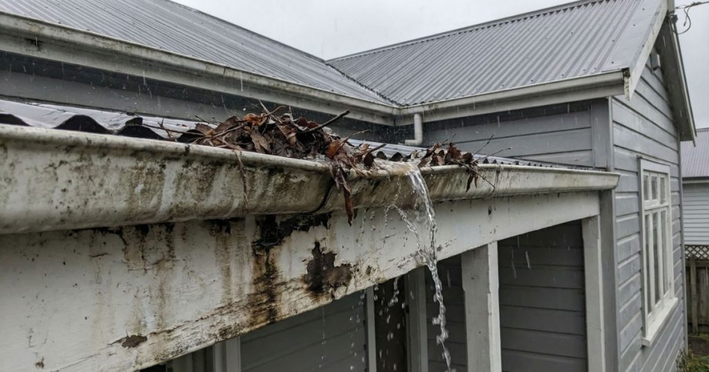 Roof leaks in Wellington caused by damaged metal roofing requiring professional roof repair